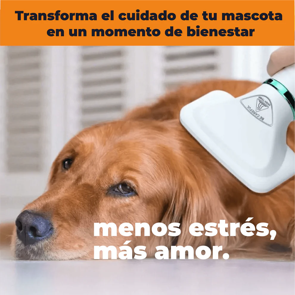 Cepillo Secador Para Mascotas 🐶2 En 1🐱